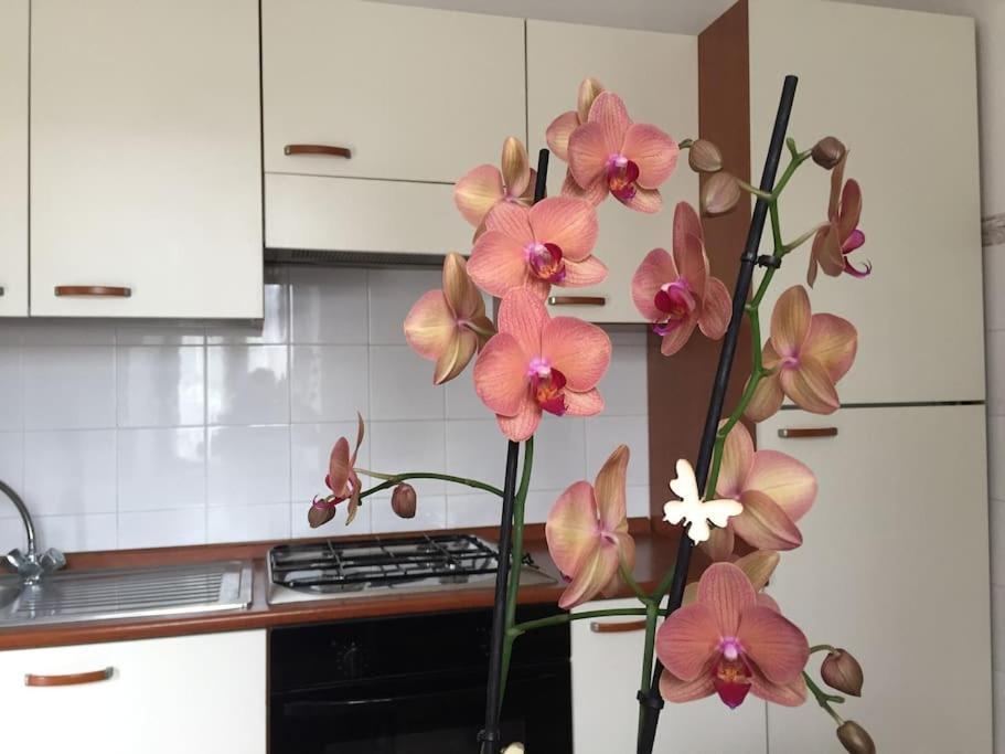 Narni.umbria Apartment *